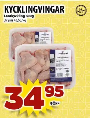 KYCKLINGVINGAR