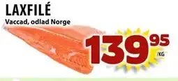 Matvärlden Tensta LAXFILÉ erbjuda