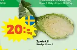 Stora Coop Spetskål erbjuda