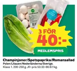 Coop Champinjoner/Spetspaprika/Romansallad erbjuda