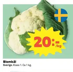 Coop Blomkål erbjuda