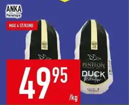 Matdax Penelope Anka erbjuda