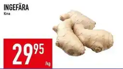 Matdax Ingefära erbjuda