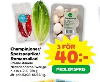 Champinjoner/ Spetspaprika/