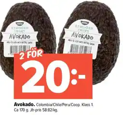 Pekås Avokado erbjuda