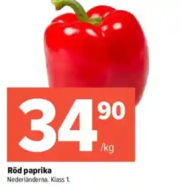 Pekås Röd paprika erbjuda