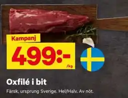 City Gross Oxfilé i bit erbjuda
