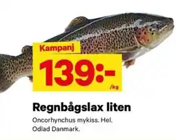 City Gross Regnbågslax liten erbjuda
