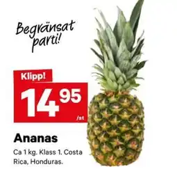 City Gross Ananas erbjuda