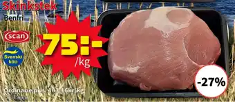 Skinkstek