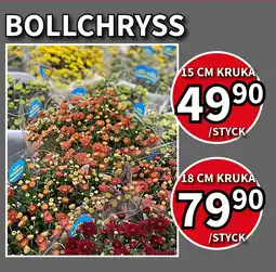 Extra Mjällby Stormarknad Bollchryss erbjuda