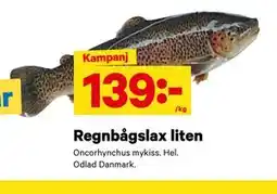 City Gross Regnbågslax liten erbjuda