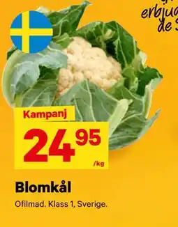 City Gross Blomkål erbjuda