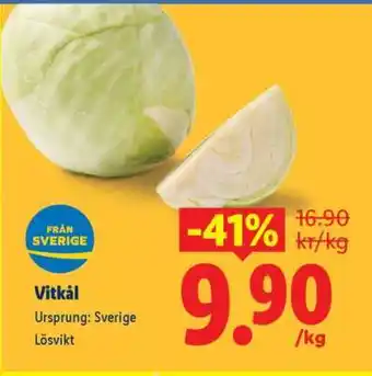 Vitkål