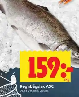 ICA Supermarket Regnbågslax ASC erbjuda