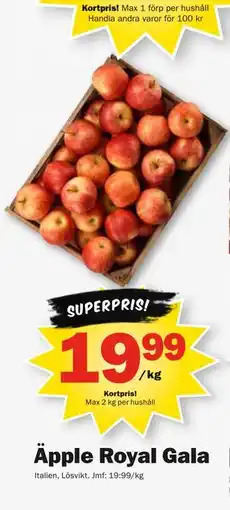 Pekås Äpple Royal Gala, Medlemspris erbjuda