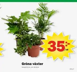 Pekås Gröna växter erbjuda