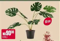 ÖoB Alla konstväxter & blommor! erbjuda