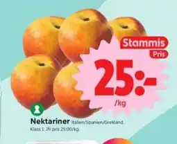 ICA Nära Nektariner, Medlemspris erbjuda