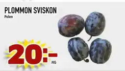 Din Mat Plommon sviskon polen erbjuda