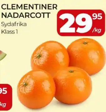 Clementiner nadarcott