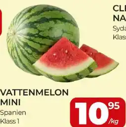 Matrix Butikerna Vattenmelon mini erbjuda