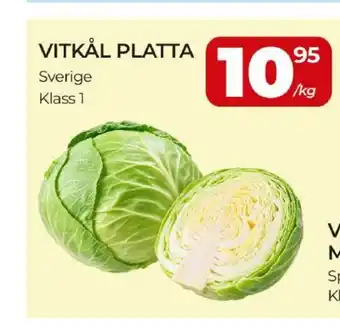 Vitkål platta
