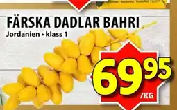 Matvärlden Tensta Färska dadlar bahri erbjuda