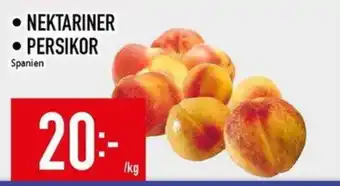 Nektariner • persikor