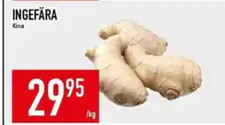Matdax Ingefära kina erbjuda