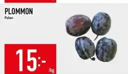 Matdax Plommon polen erbjuda