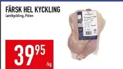 Matdax Färsk hel kyckling erbjuda