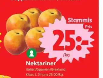 Nektariner