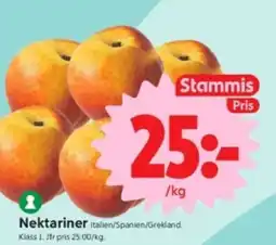 ICA Supermarket Nektariner erbjuda