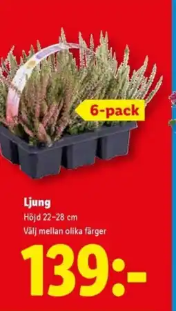 Lidl Ljung erbjuda