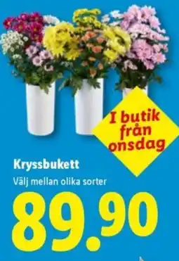 Lidl Kryssbukett erbjuda