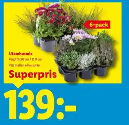 Lidl Utomhusmix erbjuda