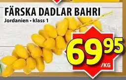 Matvärlden Tensta FÄRSKA DADLAR BAHRI erbjuda