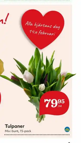 Hemköp Blommor erbjuda