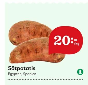 Sötpotatis