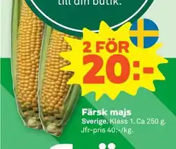 Stora Coop Färsk majs erbjuda