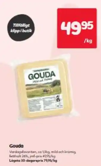 Gouda