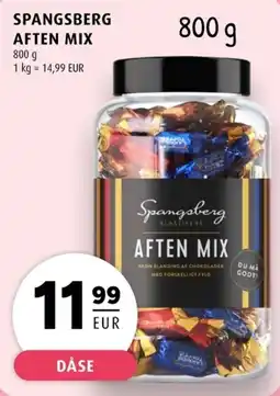 Scandinavian Park Spangsborg aften mix erbjuda