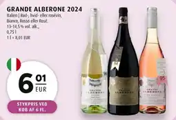 Scandinavian Park Grande alberone 2024 erbjuda