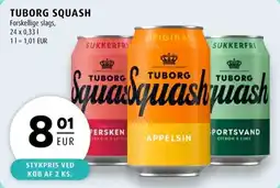 Scandinavian Park Tuborg Squash erbjuda