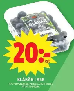 ICA Maxi Blåbär i ask erbjuda