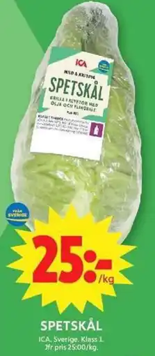 ICA Maxi Spetskål erbjuda