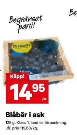 City Gross Blåbär i ask erbjuda