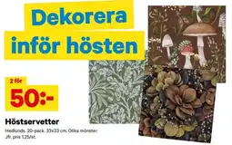 City Gross Hedlunds Höstservetter erbjuda