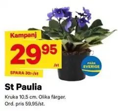 City Gross St Paulia erbjuda